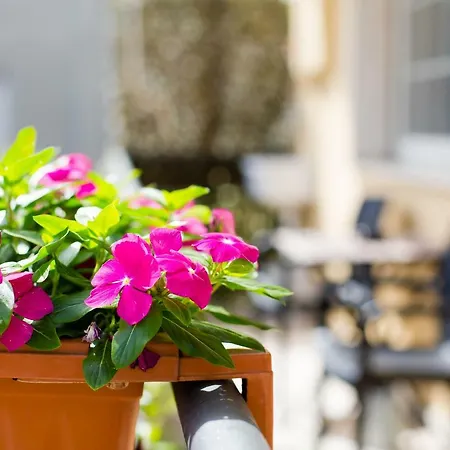 Le Bed and Breakfast